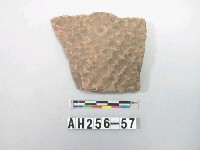 藏品(紅色夾砂陶片)的圖片